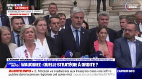 Laurent Wauquiez: "Tout gouvernement qui comporterait des ministres de La France insoumise fera l'objet immédiatement de notre part du vote d'une motion de censure" 