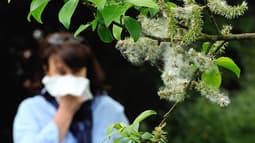 Une femme se mouche en lien avec les allergies saisonnières au pollen