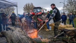 Des agriculteurs bloquent l'accès à la centrale nucléaire de Golfech (Tarn-et-Garonne), le 22 janvier 2024