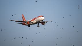 Easyjet a choisi d'annuler ses vols vers et en provenance de Tel Aviv jusqu'à la fin octobre. 