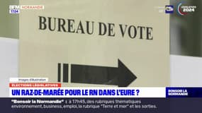 Élections législatives: faut-il s'attendre à un raz-de-marée pour le RN dans l'Eure?