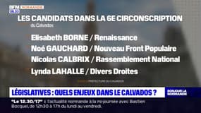 Elections législatives: quels enjeux dans le Calvados?