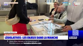 Élections législatives: quels enjeux dans les quatre circonscriptions de la Manche?