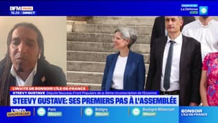 Essonne: les sujets prioritaires du nouveau député Steevy Gustave (NFP)