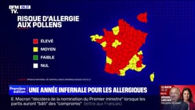 Éternuements, nez qui coule, yeux qui pleurent… Année infernale pour les allergiques à cause d'une forte concentration de pollens