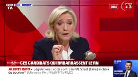 Face à Face : Marine Le Pen - 04/07