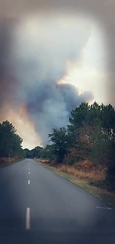 Feu de forêt en Gironde (Saumos) - Témoins BFMTV