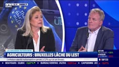 François Hommeril (CFE-CGC) : Agriculteurs, Bruxelles lâche du lest - 31/01