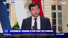 Jean-Philippe Tanguy (RN) considère que les partis membres du NFP sont des "débris politiques"