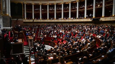 L'hémicycle de l'Assemblée nationale le 28 juin 2023