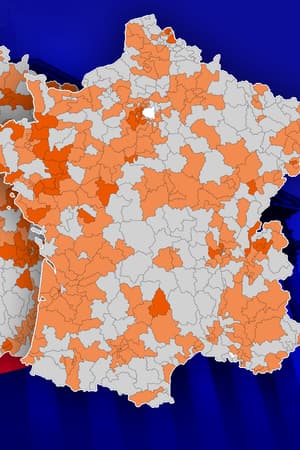 CARTES. Résultats législatives 2024: comment la macronie s'est effondrée depuis 2017