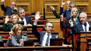 Le patron des sénateurs LR Bruno Retailleau (c) lors d'un vote au Sénat pendant les débats sur le projet de loi immigration, le 7 novembre 2023 à Paris