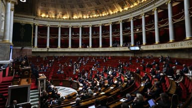 La proposition de loi a été déposée à l'Assemblée nationale le 25 mars 2024 (illustration). 