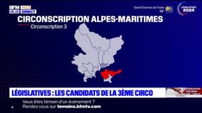 Législatives: ce que proposent les candidats de la 3e circonscription des Alpes-Maritimes