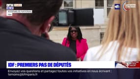 Législatives en Île-de-France: Dieynaba Diop et Ayda Hadizadeh élues députées pour la première fois