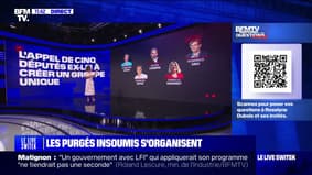 LES ÉCLAIREURS - Comment les "purgés" insoumis s'organisent dans cette nouvelle Assemblée nationale?