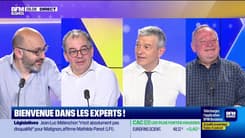 Les Experts : Que nous dit cette nouvelle Assemblée ? - 08/07