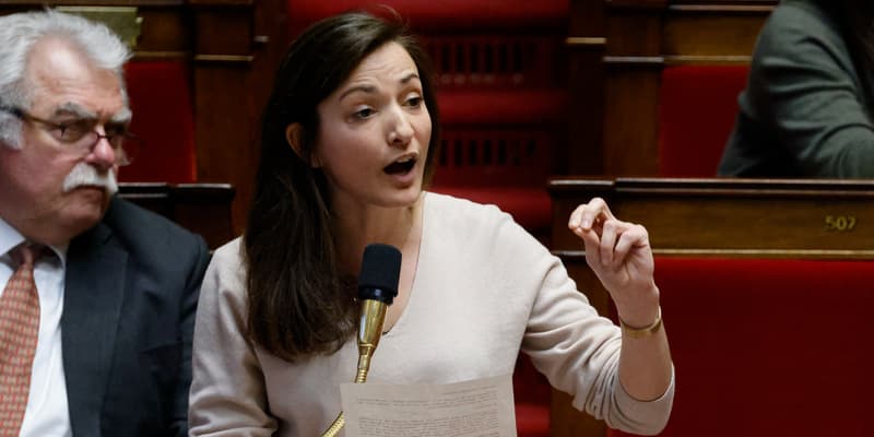 Marie-Charlotte Garin, députée écologiste