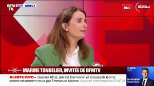 "On ne peut pas passer tout l'été à attendre": Marine Tondelier évoque l'arrivée d'un nouveau gouvernement