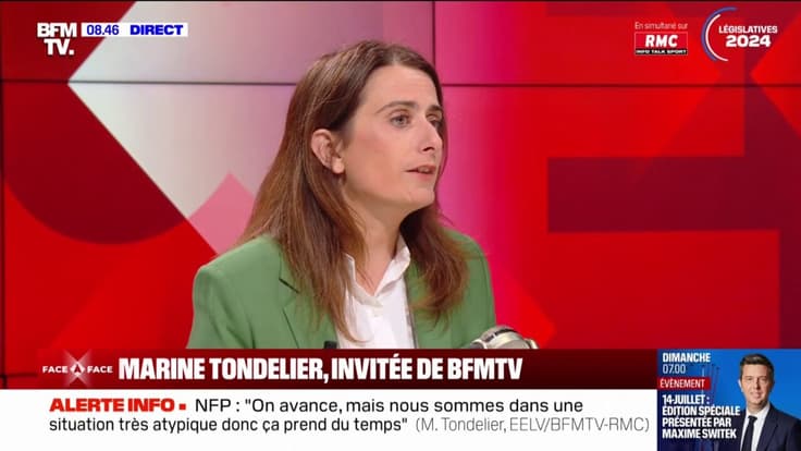 Pour Marine Tondelier, Emmanuel Macron "est en train de faire son gaulois réfractaire"