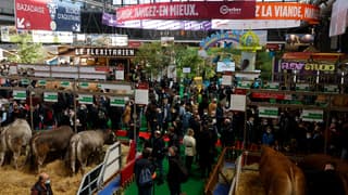 Des visiteurs dans les allées du Salon international de l'agriculture, au parc des expositions de la porte de Versailles à Paris, le 26 février 2022 (photo d'illustration).