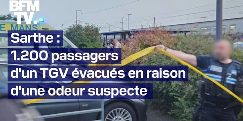  Sarthe: 1200 passagers d'un TGV évacués en raison d'une "forte et incommodante" odeur dans une rame 