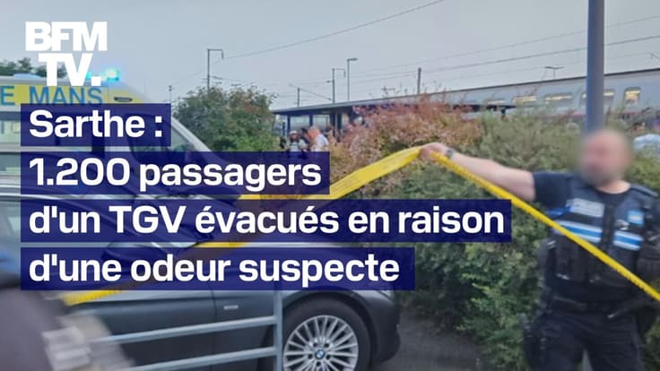  Sarthe: 1200 passagers d'un TGV évacués en raison d'une "forte et incommodante" odeur dans une rame 