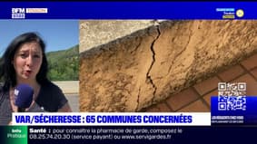 Sécheresse dans le Var: 65 communes reconnues en état de catastrophe naturelle