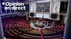 Selon une projection de l'Institut Elabe publiée le vendredi 5 juillet, le RN pourrait devenir la première force politique à l'Assemblée nationale