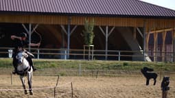 Un homme participe à une compétition de tir à l'arc à cheval à Lamotte-Beuvron, au sud de Paris, le 25 juillet 2019. Photo d'illustration