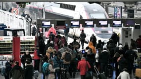 Un TGV à quai, gare de Lyon (Paris)